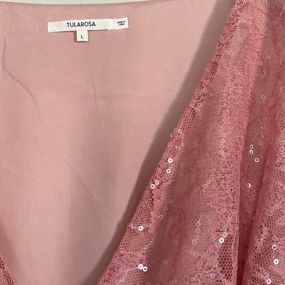 NWT TULAROSA Autumn Dress Lace Sequin Dusty Rose L - Picture 12 of 13